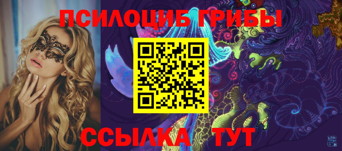 Псилоцибиновые грибы Cubensis Мценск